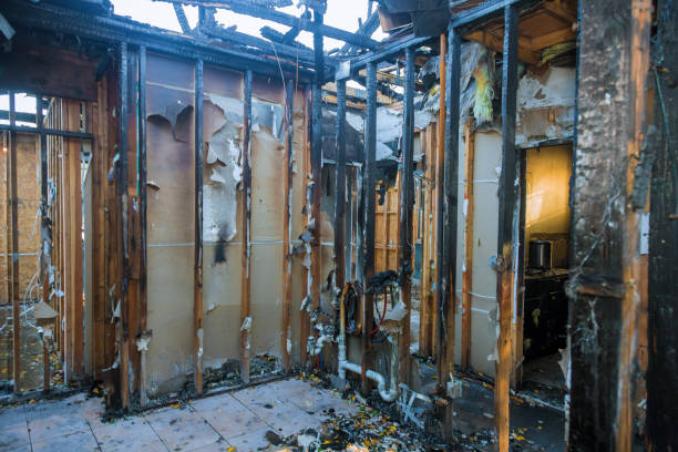 Professional Odor Removal technician working in Bokeelia, FL