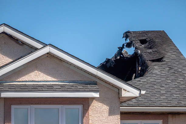 Top rated local Odor Removal specialists in Bokeelia, FL